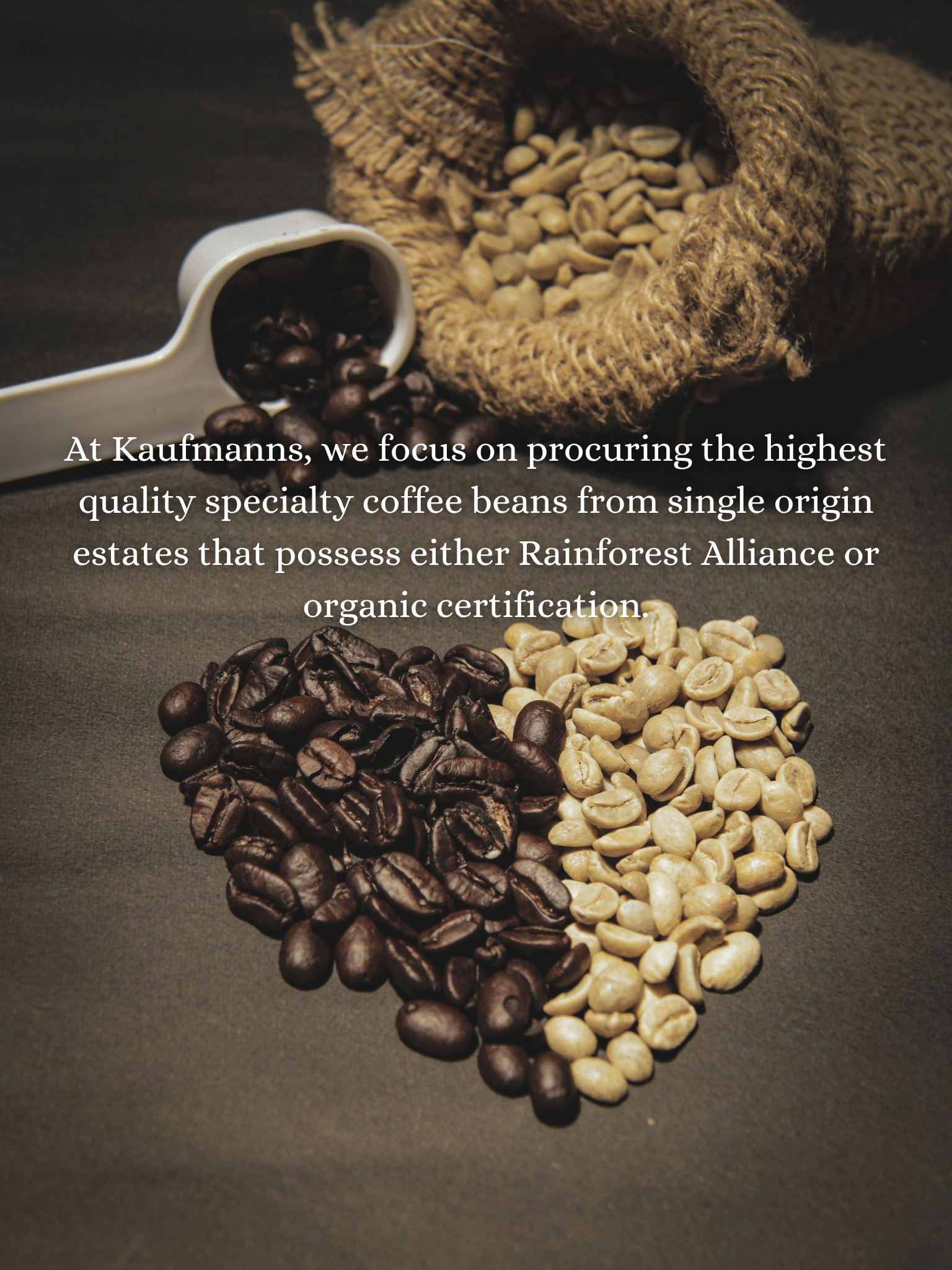 B2b Specialty coffee