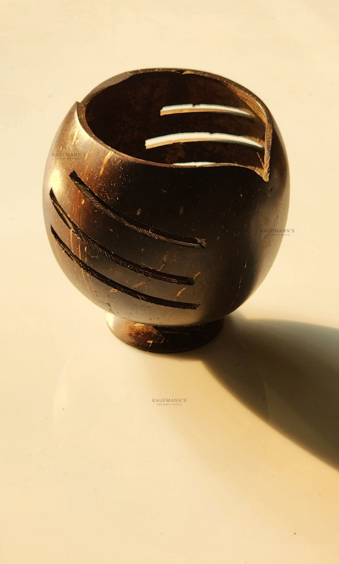 Coconut Shell Pen Holder