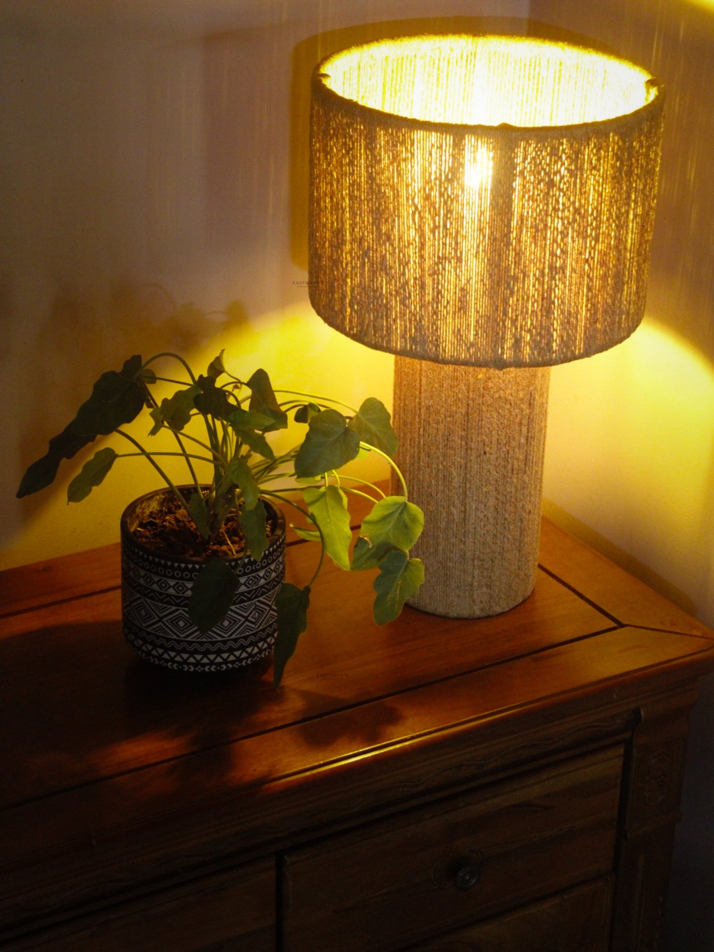 Lamp with textured shade and plant on a wooden surface