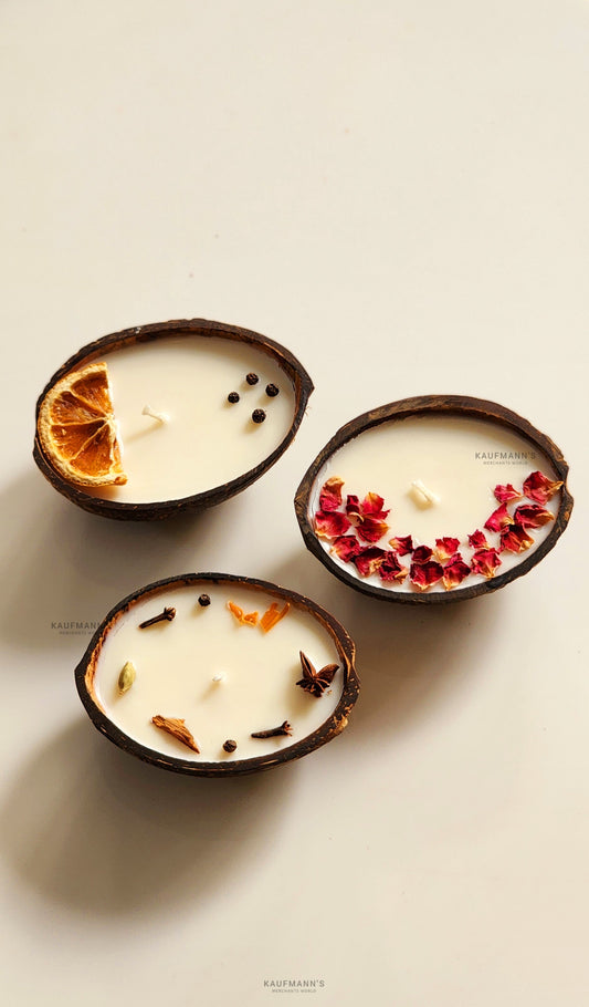 Coconut Shell Scented Candles Combo of 3