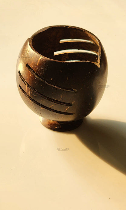 Coconut Shell Pen Holder