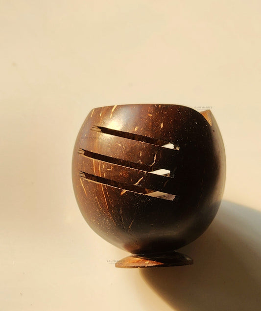 Coconut Shell Pen Holder