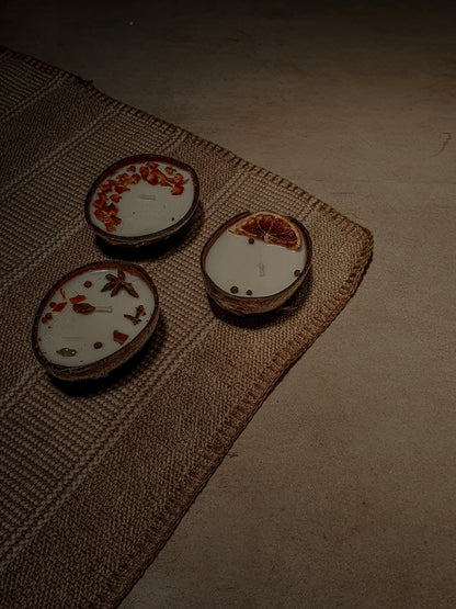 Coconut Shell Scented Candles Combo of 3