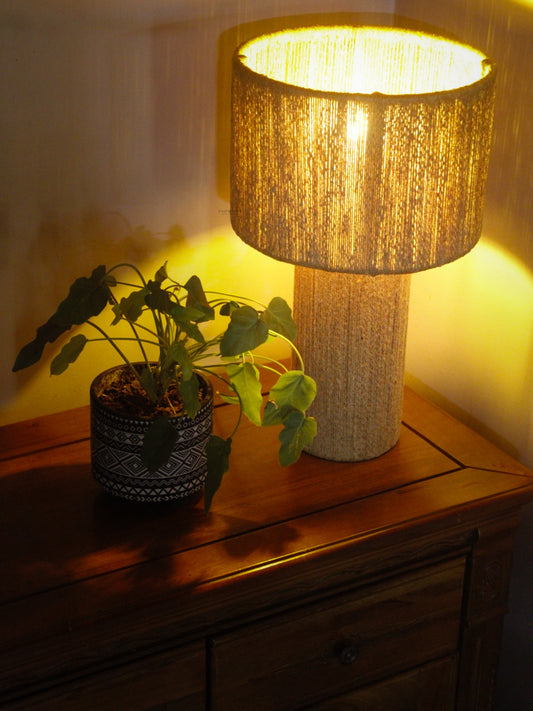 Lamp with textured shade and plant on a wooden surface